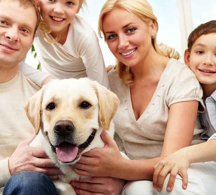 The Family Dog Just Might Cure Your Cabin Fever