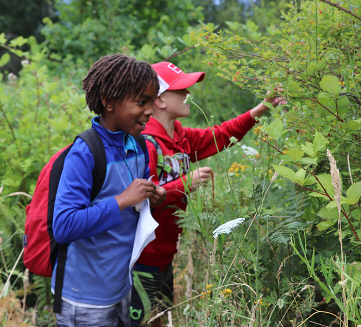 A Few Portland Summer Programs Reimagined