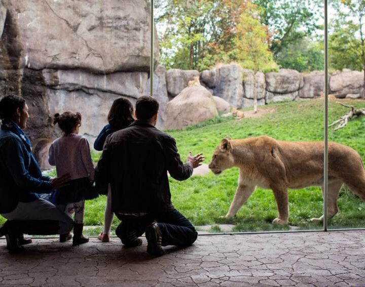 Great Animal Encounters in Oregon For The Kids