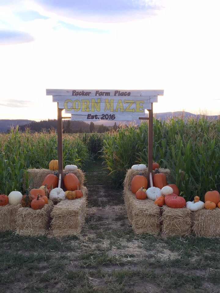 A Is For Picking Apples – A Field Trip To The Gorge