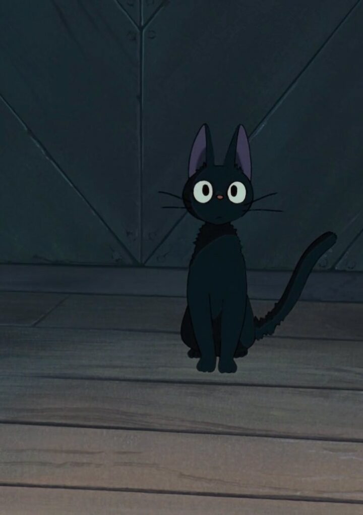 Black Cats Of Film And TV