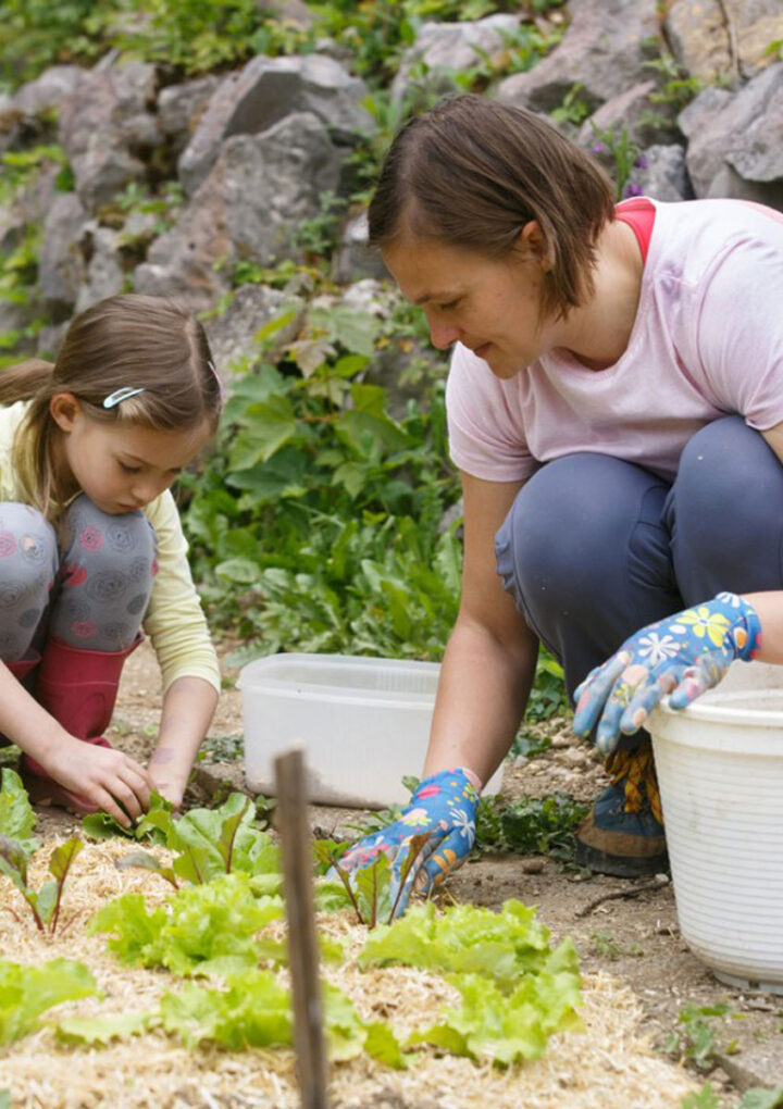 Great Local and Online Resources For Kids To Start Gardening!