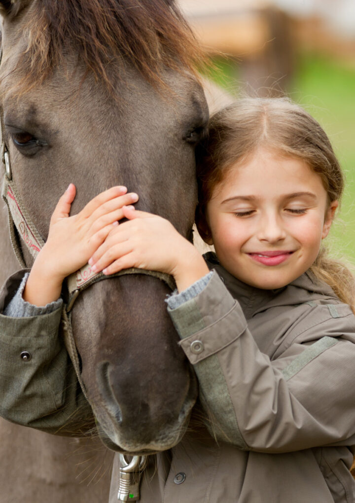 Why Your Child Should Learn About Horses