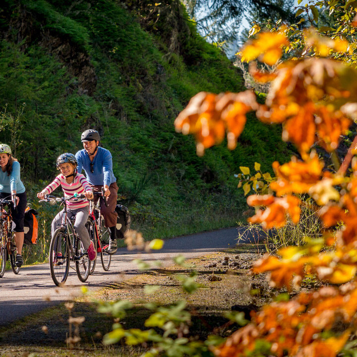 The Best Fall Activities For Families In Oregon