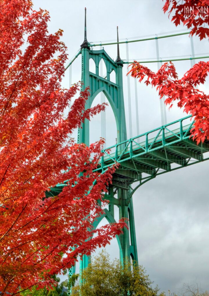 Timeless Fall Traditions With Some Local Twists