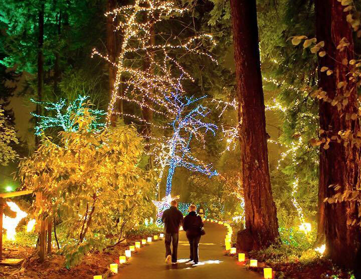 Where To Find Fun Holiday Lights And Activities In And Around Portland