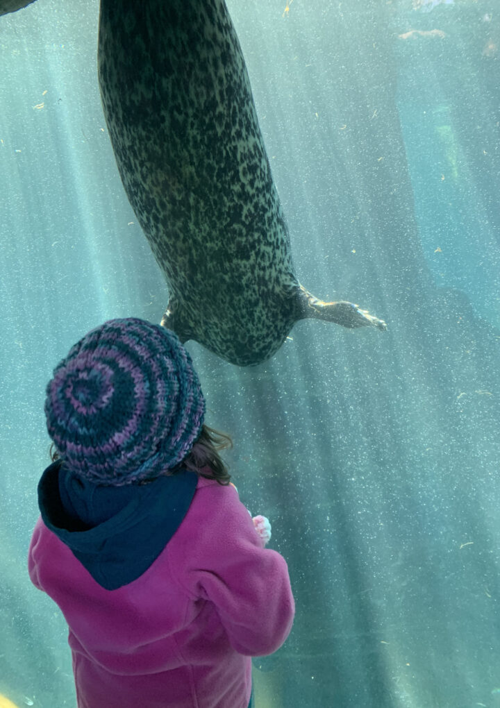 Visiting The Oregon Coast Aquarium In The Winter Is Worth It