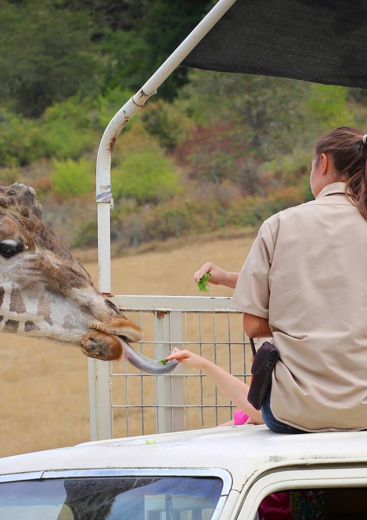 Fun Kid-Friendly Things To Do In Oregon In The Spring