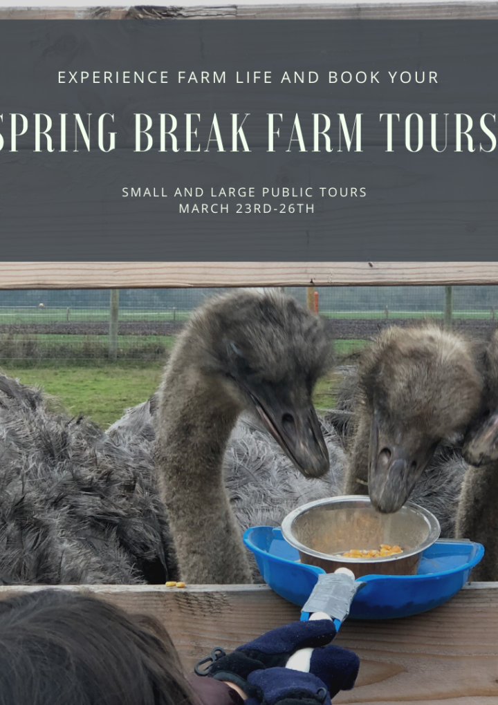 Experience Farm Life – Book Your Spring Break Farm Tour At Triskelee Farm Today!