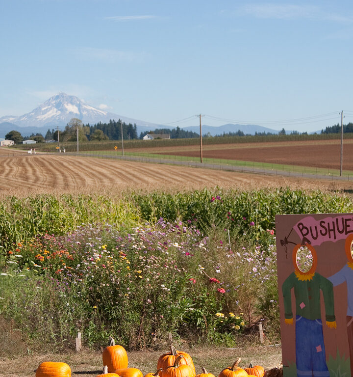 Best Outdoor Places To Go And Things To Do With The Kids This Fall In Oregon