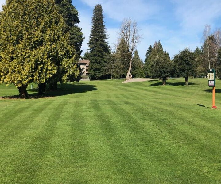 Why The Children’s Course Is The Perfect Place For Your Child To Try Golf