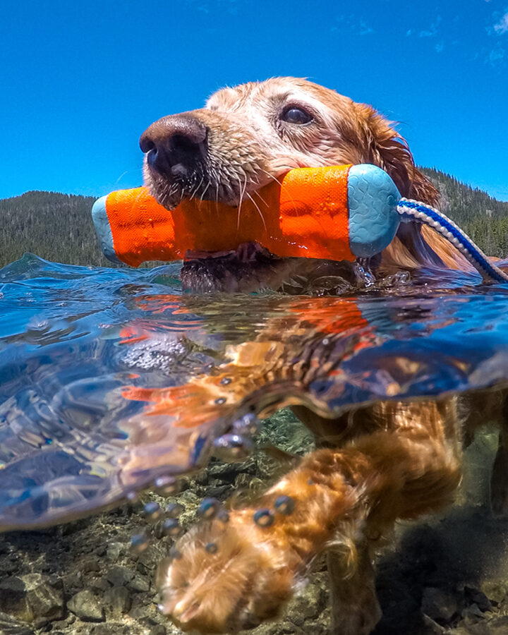 Oregon Kid On Summer Break!