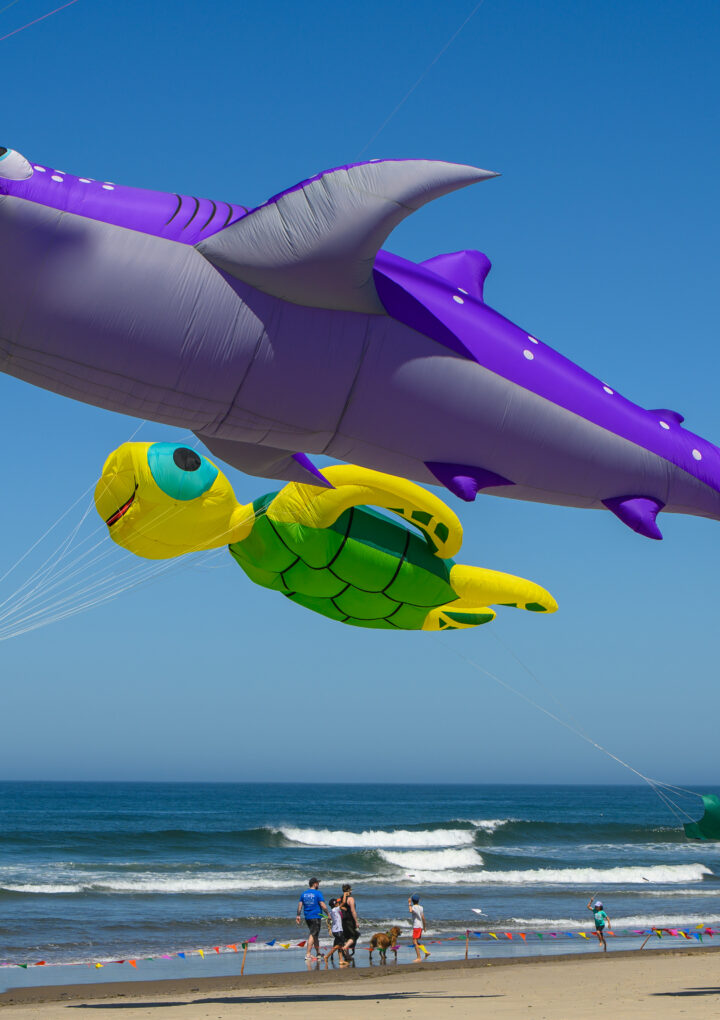 Fall Kite Festival Returns This Weekend To Lincoln City