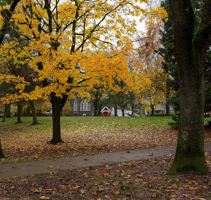 Great Fall Parks And Walks For Families In Portland