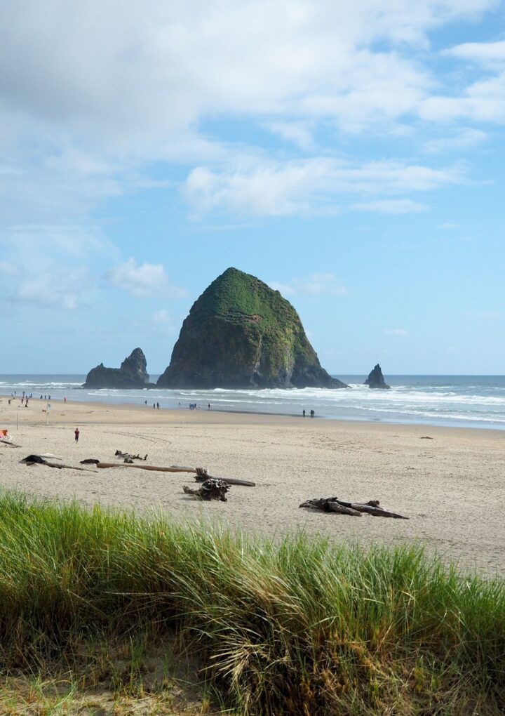 Planning For The Summer In Oregon With Your Family