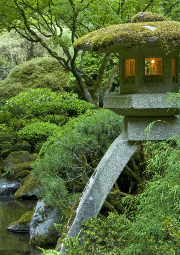 5 Reasons You Should Take Your Family To The Portland Japanese Garden