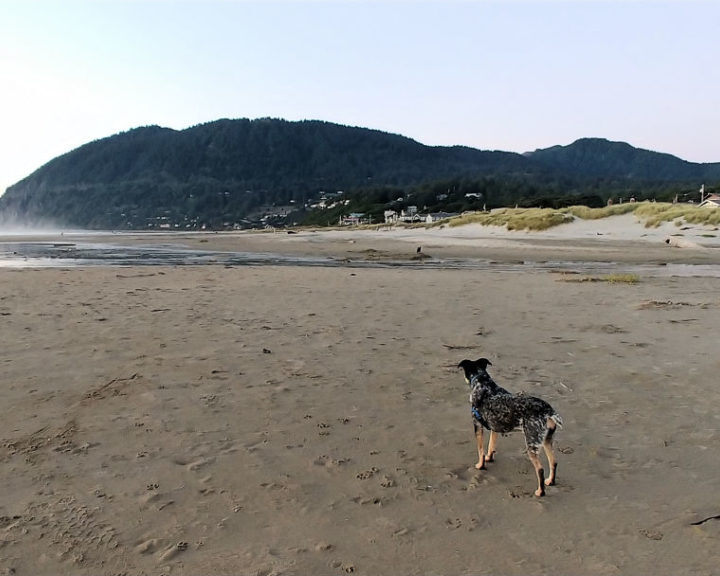 5 Beaches To Take The Kids To In Oregon