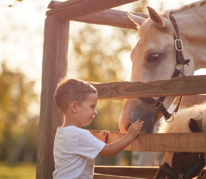 Early Agriculture – Teaching Kids To Care For Farm Animals