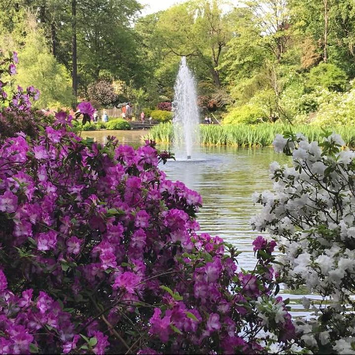 Where To Find Spring Blooms For Your Family To Check Out In Portland