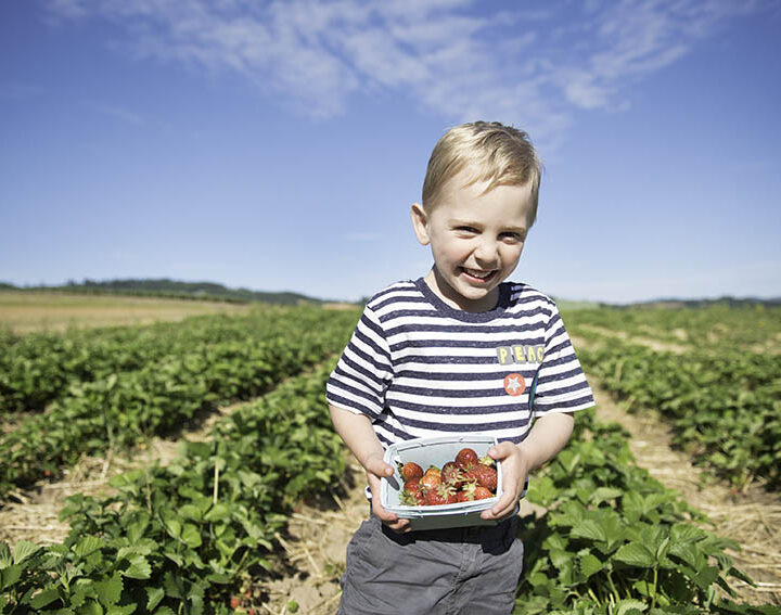 The Best Berry Picking Places In And Around Portland