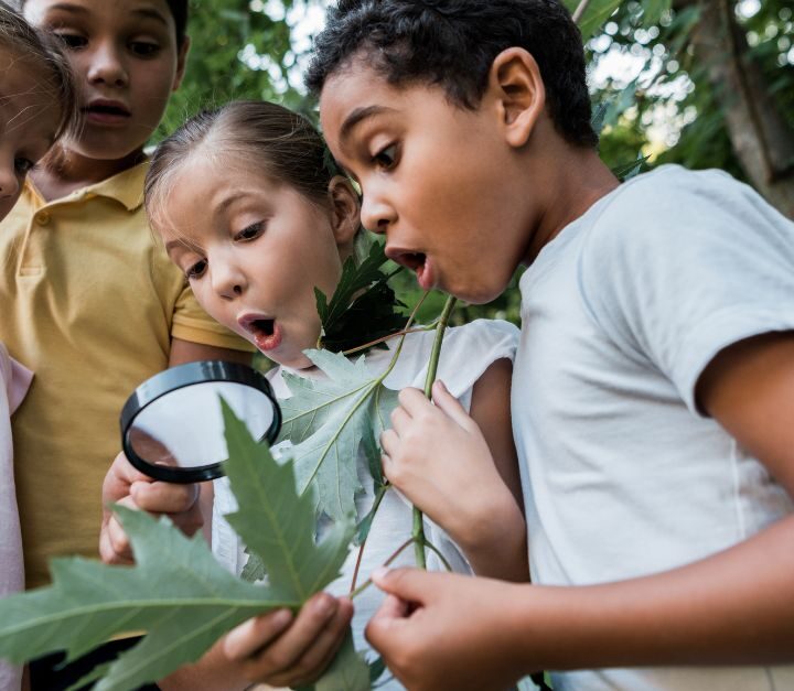 Tips For Getting Your Kids Excited About Exploring Nature