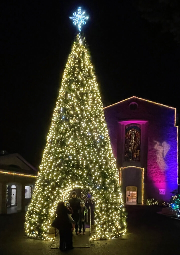 Why Your Family Should Make A Trip To The Grotto This Holiday Season