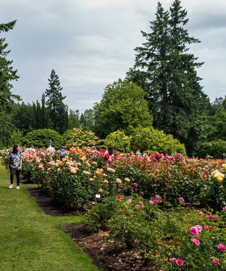 Discover Washington Park – Portland’s Urban Oasis Of Nature, Culture, And Family Adventure