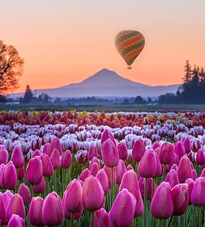 The Best Places To See Flowers In Oregon This Spring