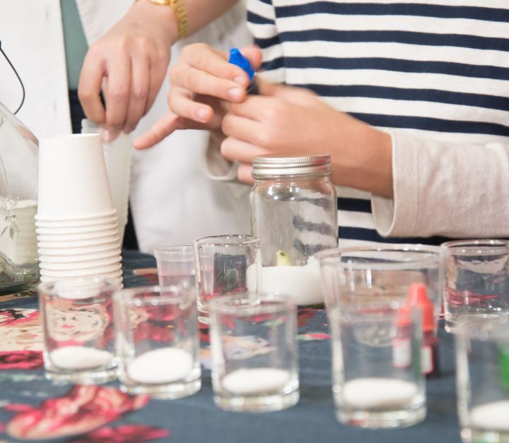 4 Scientific Principles You Can Teach At Home