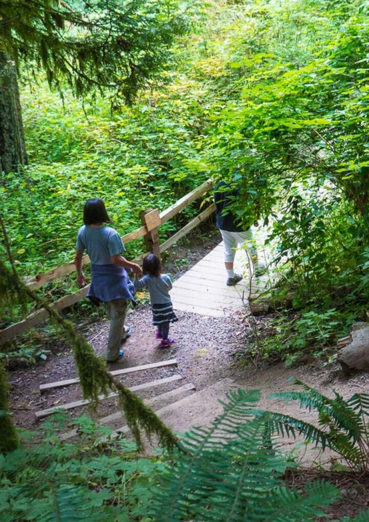 Why You Should Take Your Family To Tryon Creek State Park
