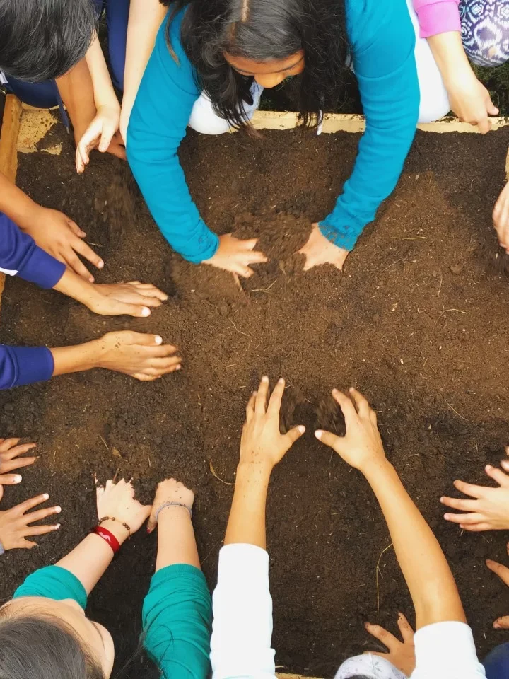 Where Kids Can Volunteer In Portland – Building Job-Ready Skills Through Community Service