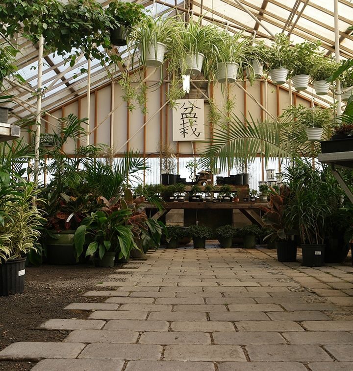 If I Can Keep A ZZ Plant Alive, You Can Too – Here’s Why Portland Nursery Is The Perfect Place To Start
