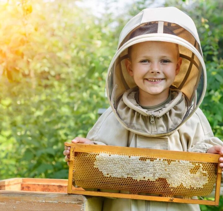 Buzzing Together – How Beekeeping Brings Families Closer (And Produces Delicious Honey)