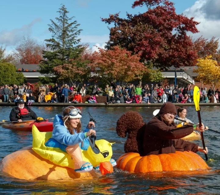 A Gourd-Geous Spectacle – The West Coast Giant Pumpkin Regatta