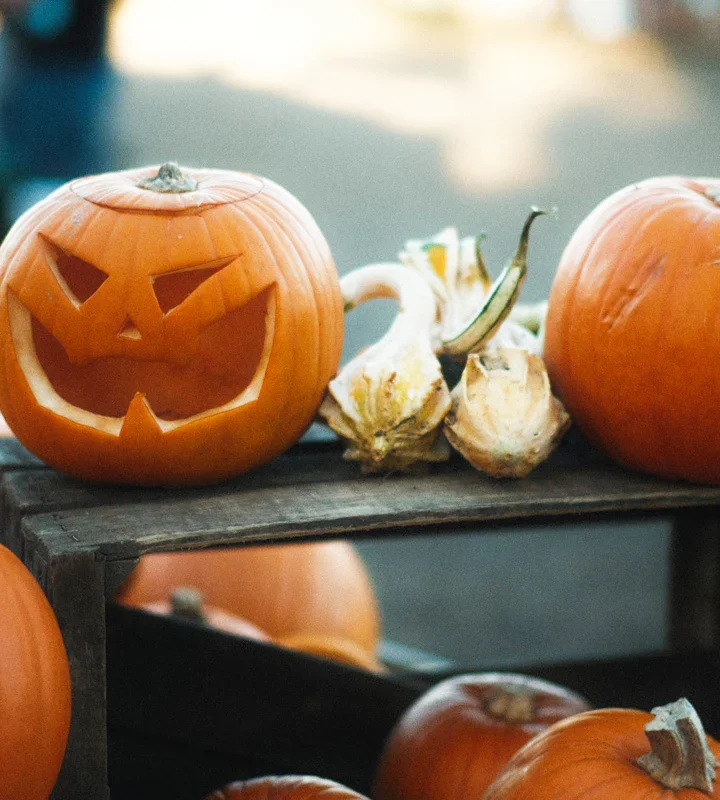 🍬 Your 2025 Portland Trick-Or-Treat Guide – Top Neighborhoods And Events For A Spooktacular Halloween Night