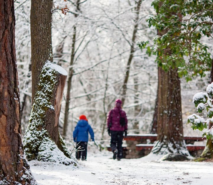 How To Survive (And Love) A PNW Winter With Your Kids