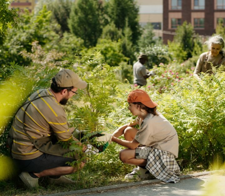 Urban Forests As Classrooms – Teaching Kids About Trees