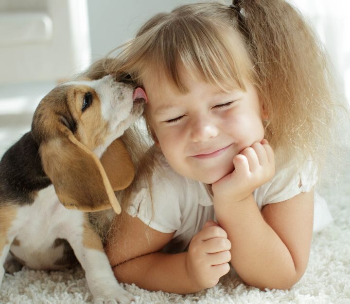 Teaching Kids To Care for A Pet – Dos And Don’ts