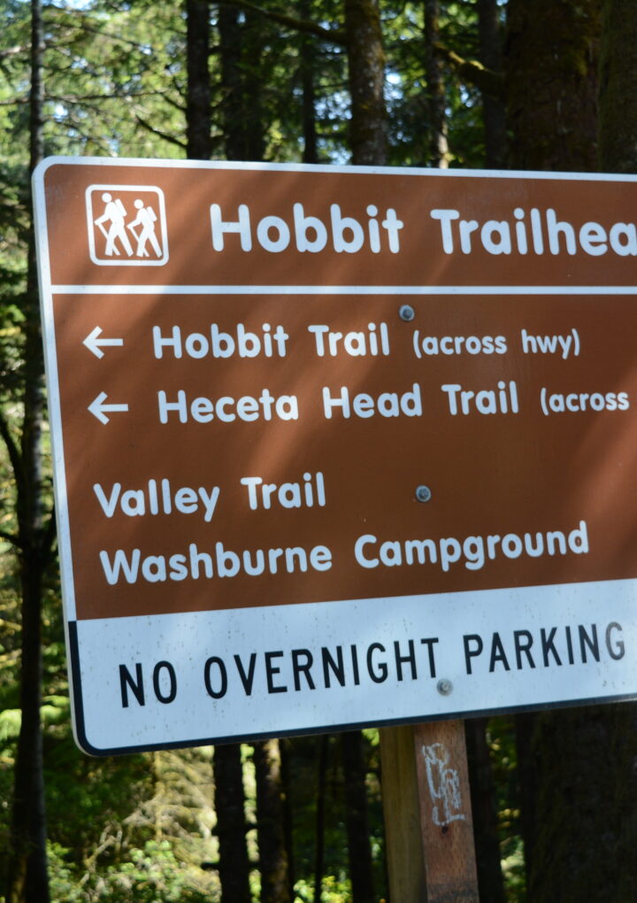 Why Every Oregon Family Should Hike The Hobbit Trail (At Least Once)