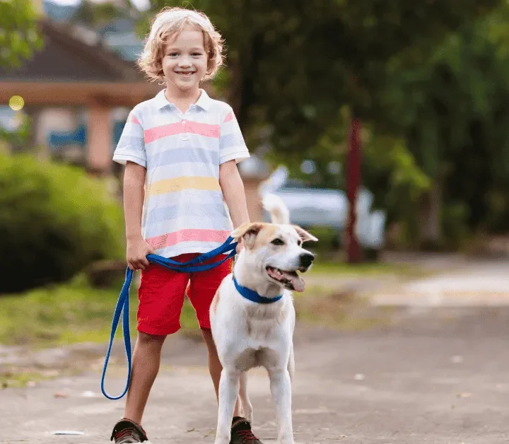 Why Dog Walking Might Be The Perfect First Job For Kids (And They’ll Actually Love It)