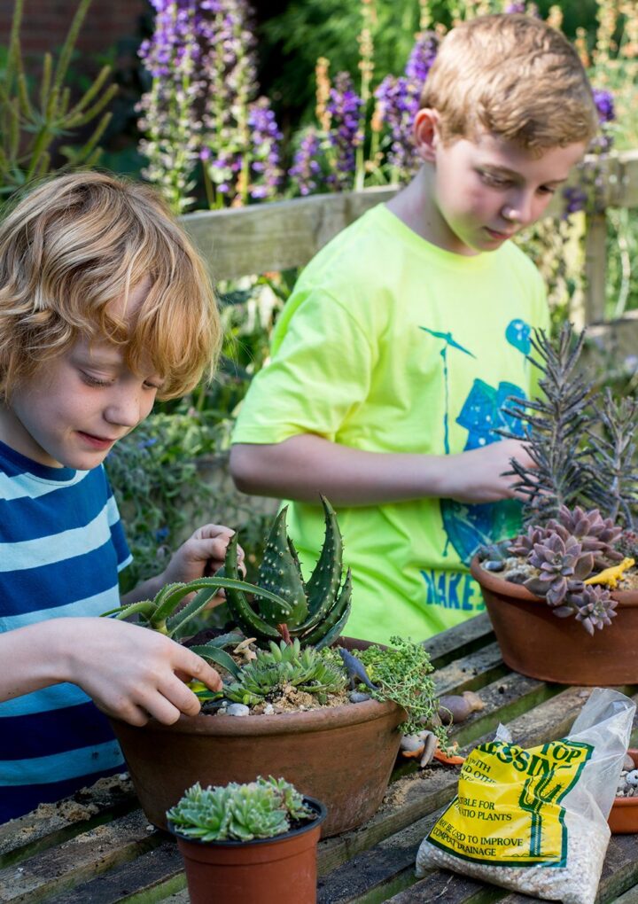 Growing Together – A Simple Guide For Families Planting In April And May