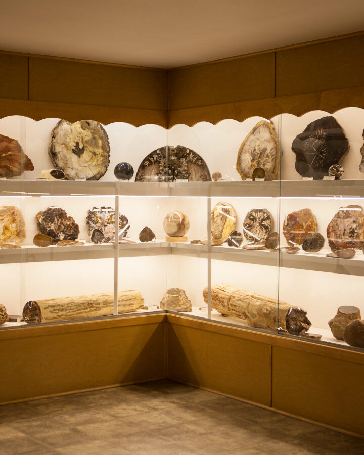 Why The Rice Northwest Museum Of Rocks And Minerals Is A Rock-Solid Outing For Kids In Oregon