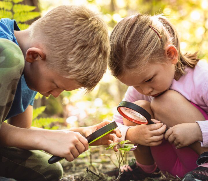 Simple Ways Parents Can Encourage Curious Learners