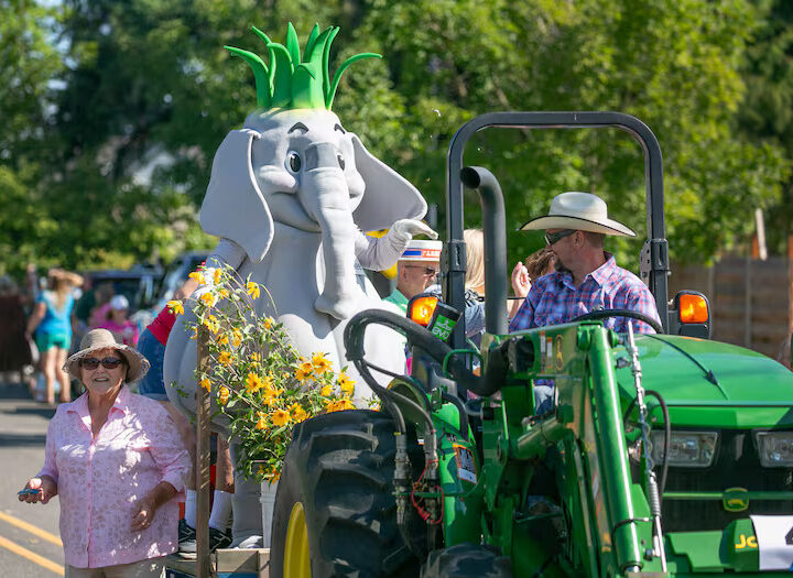 Bring The Kids And Plenty Of Mints To North Plains’ Garlic-Filled Festival