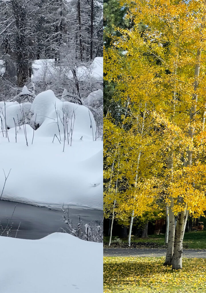 Fall Family Magic At Lake Creek Lodge