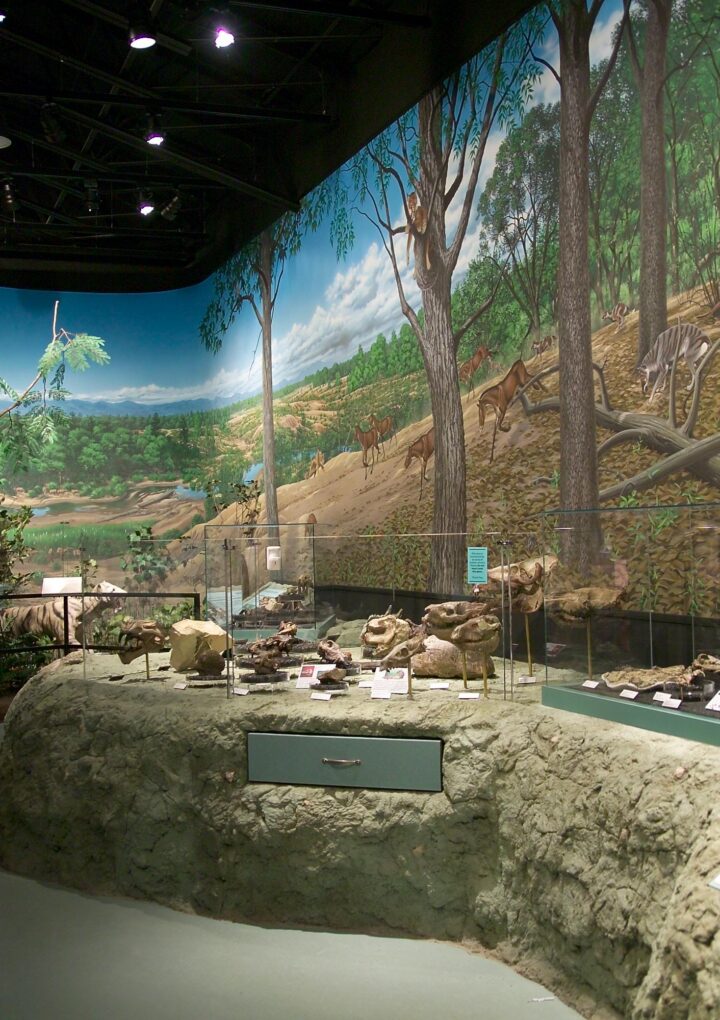 Got A Kid Who Loves Dinosaurs? Here’s Where To Explore Oregon’s Prehistoric Past