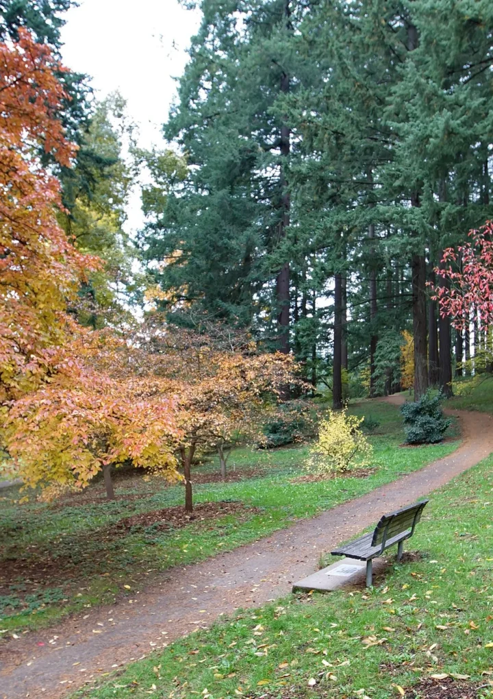 6 Fun Fall Adventures In Oregon That Sneak In A Little STEM Learning